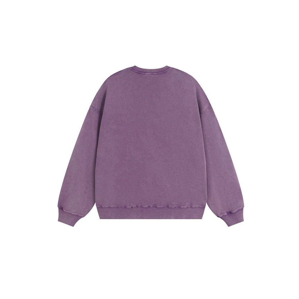 Funny Flower Embroidered Dinosaur Crew Neck Sweatshirt