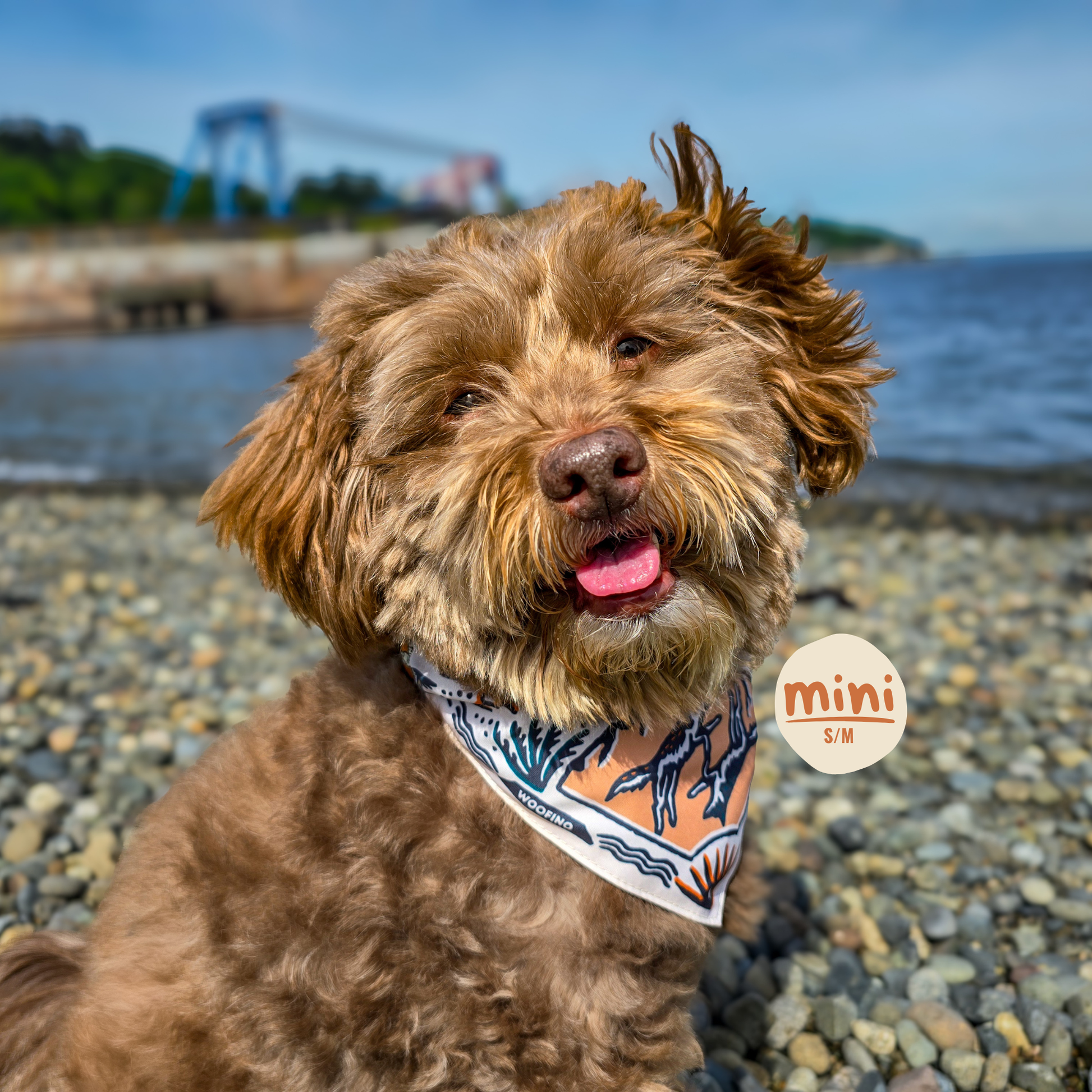 TrailSip 2-in-1 Wearable Dog Bowl product gallery image 5