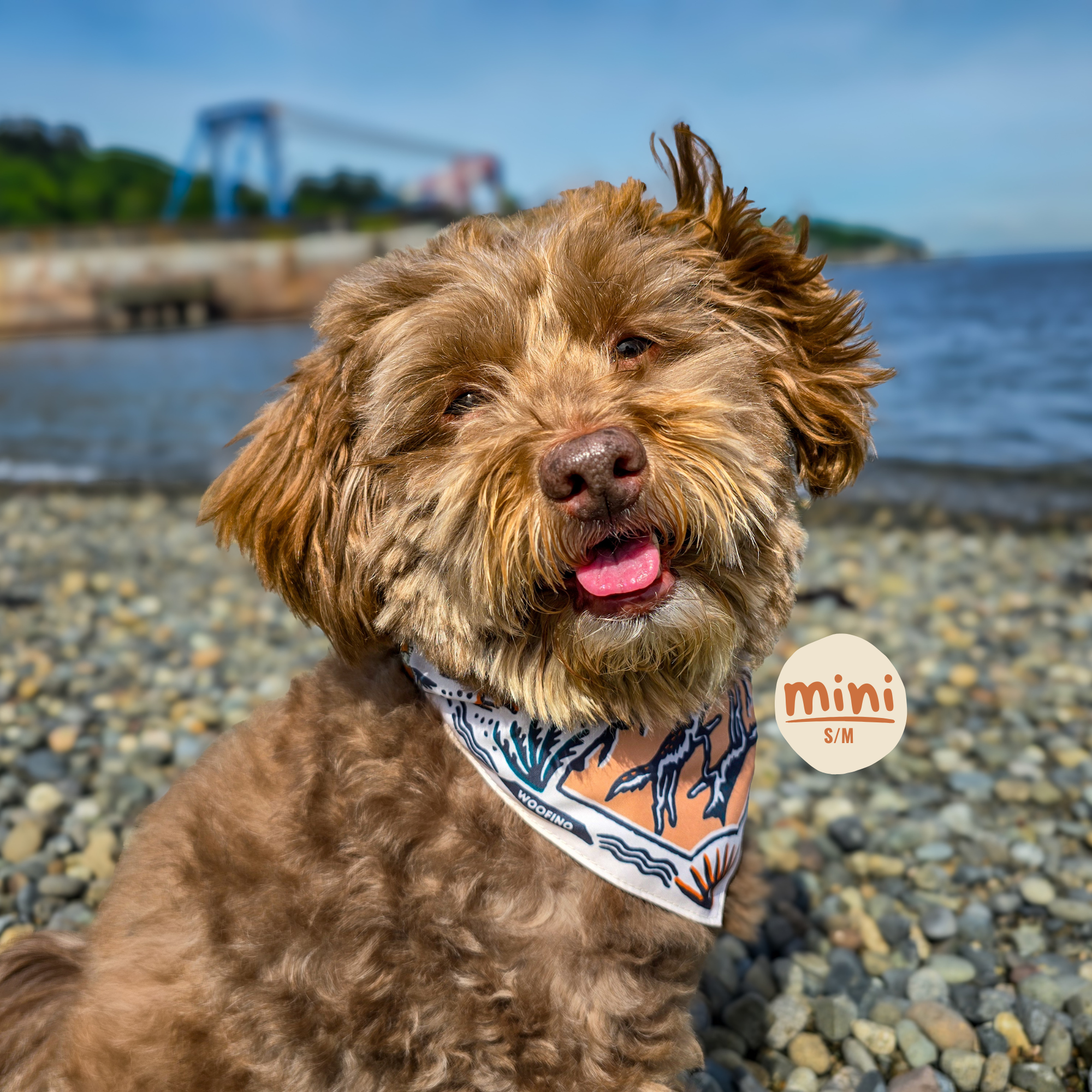 TrailSip 2-in-1 Wearable Dog Bowl product gallery image 5