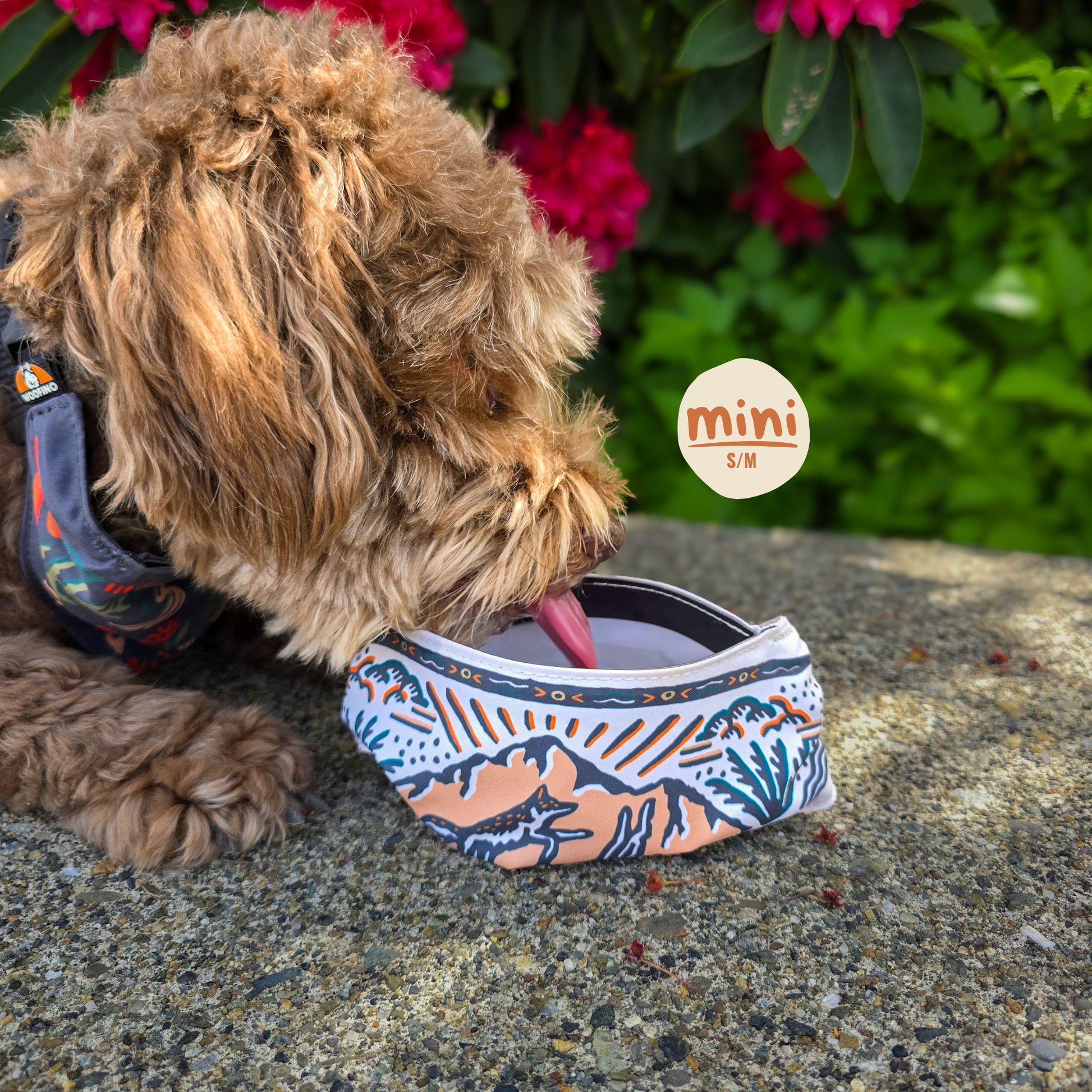 TrailSip 2-in-1 Wearable Dog Bowl product gallery image 6