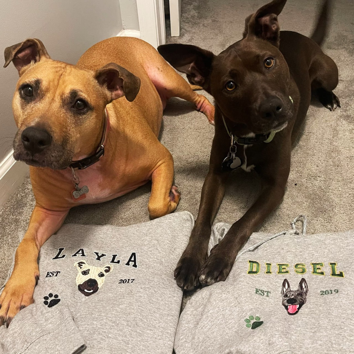 Embroidered Pet Portrait Photo Sweatshirt Custom Dog Hoodie with Photo and Name