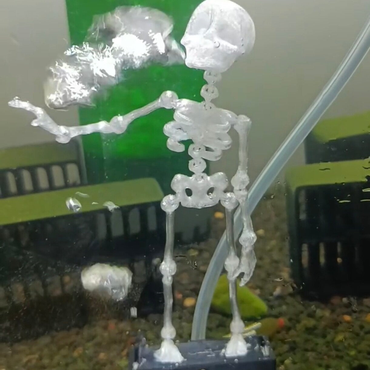 Dancing Skeleton Aquarium Bubbler bubble action