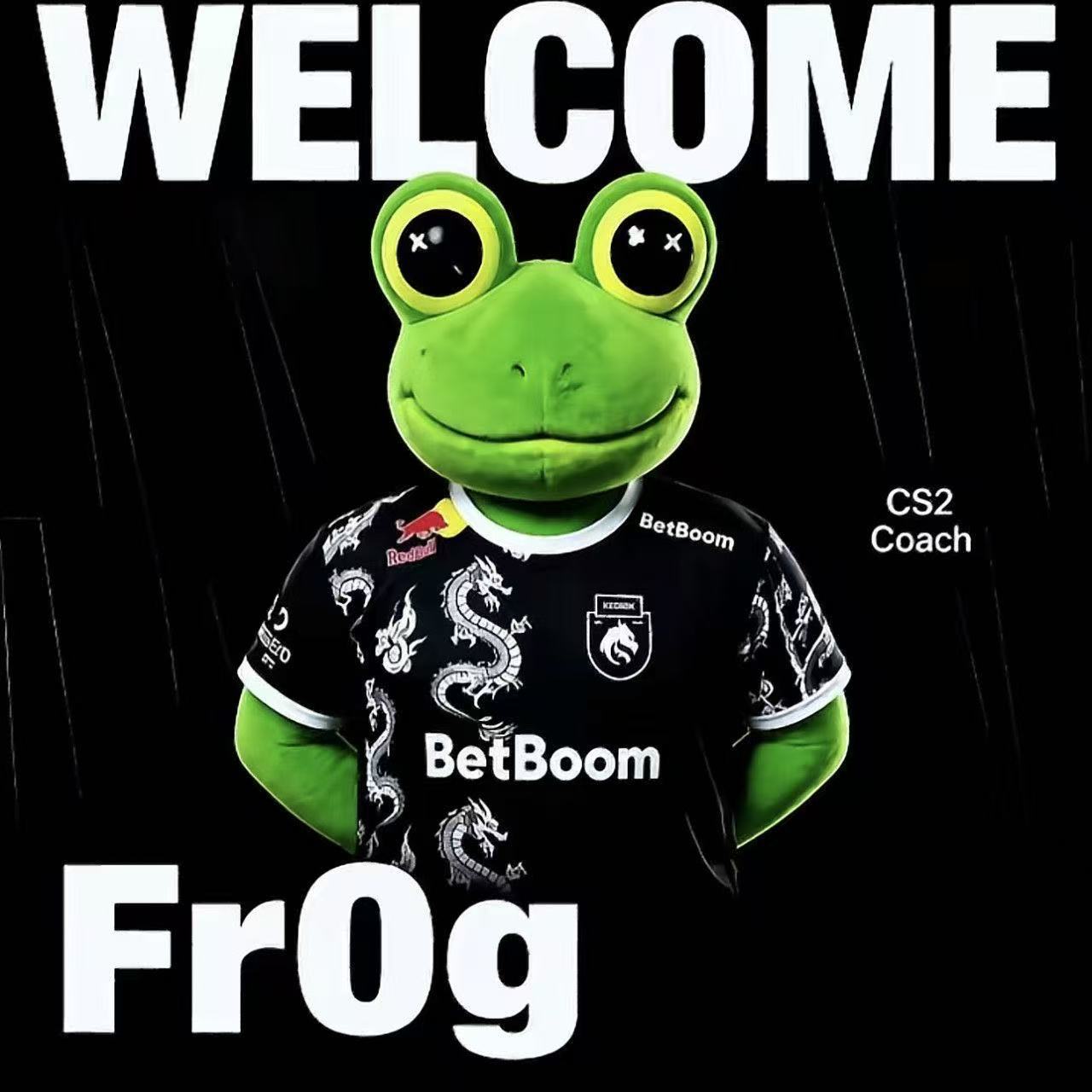 Jab jabich frog plush 50cm