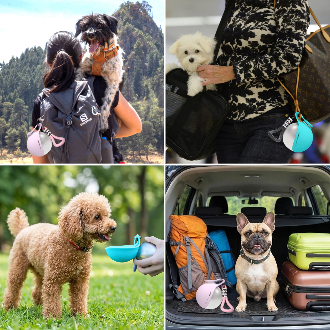 PawSip Travel Bottle portable dog water bottle
