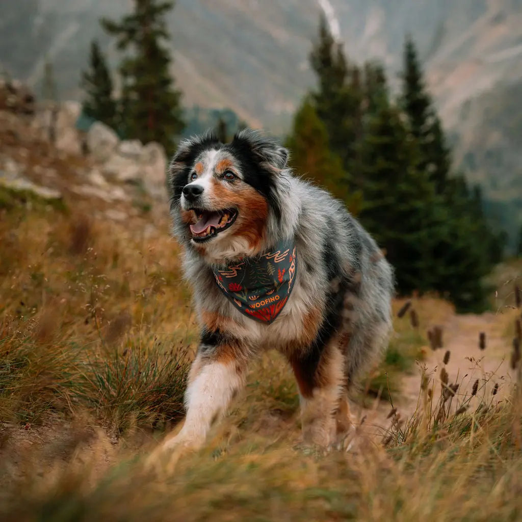 TrailSip 2-in-1 Wearable Dog Bowl product gallery image 4