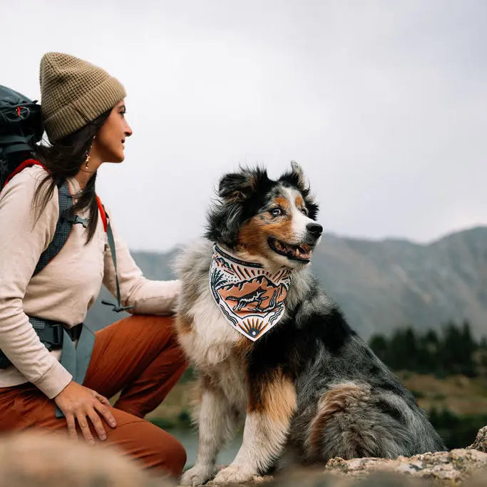 TrailSip 2-in-1 Wearable Dog Bowl product gallery image 3