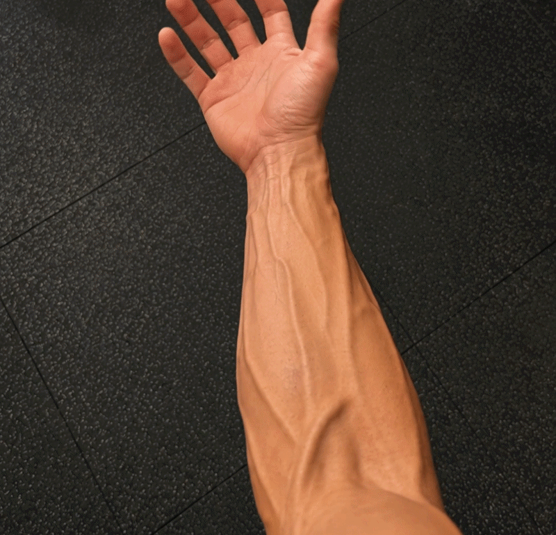 Venox Grip & Forearm Trainer image 8