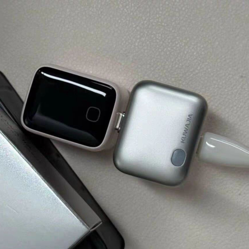 ChargeGuard adapter with smartwatch charging setup