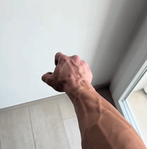 Venox Grip & Forearm Trainer image 9